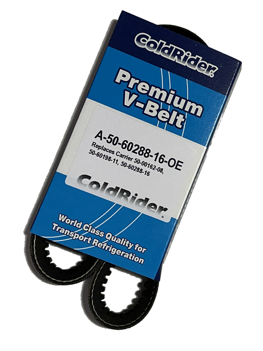 ColdRider Electric Motor/Generator Belt for Carrier Transicold (Replaces Carrier 50-00162-08, 50-60288-16, 50-60198-11)